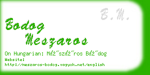 bodog meszaros business card